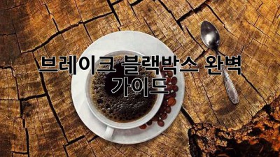 브레이크 블랙박스 완벽 가이드