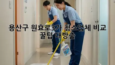 용산구 원효로3가 청소업체 비교🔍 꿀팁 대방출!✨