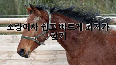 소량이사, 쉽고 빠르게 최저가 찾기!