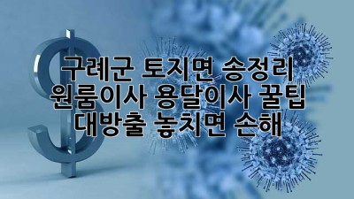 구례군 토지면 송정리 원룸이사? 용달이사 꿀팁🍯 대방출! 놓치면 손해!